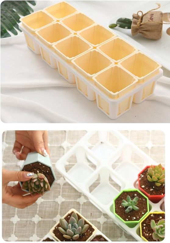 Seed Starter Tray Kit Seedling Pots Mini Greenhouse Propagator Growing Set Unbranded