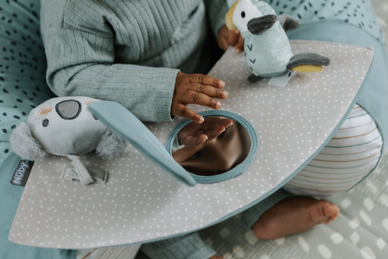 Nuby Animal Adventures Sit Me Up Baby Products Wholesaler
