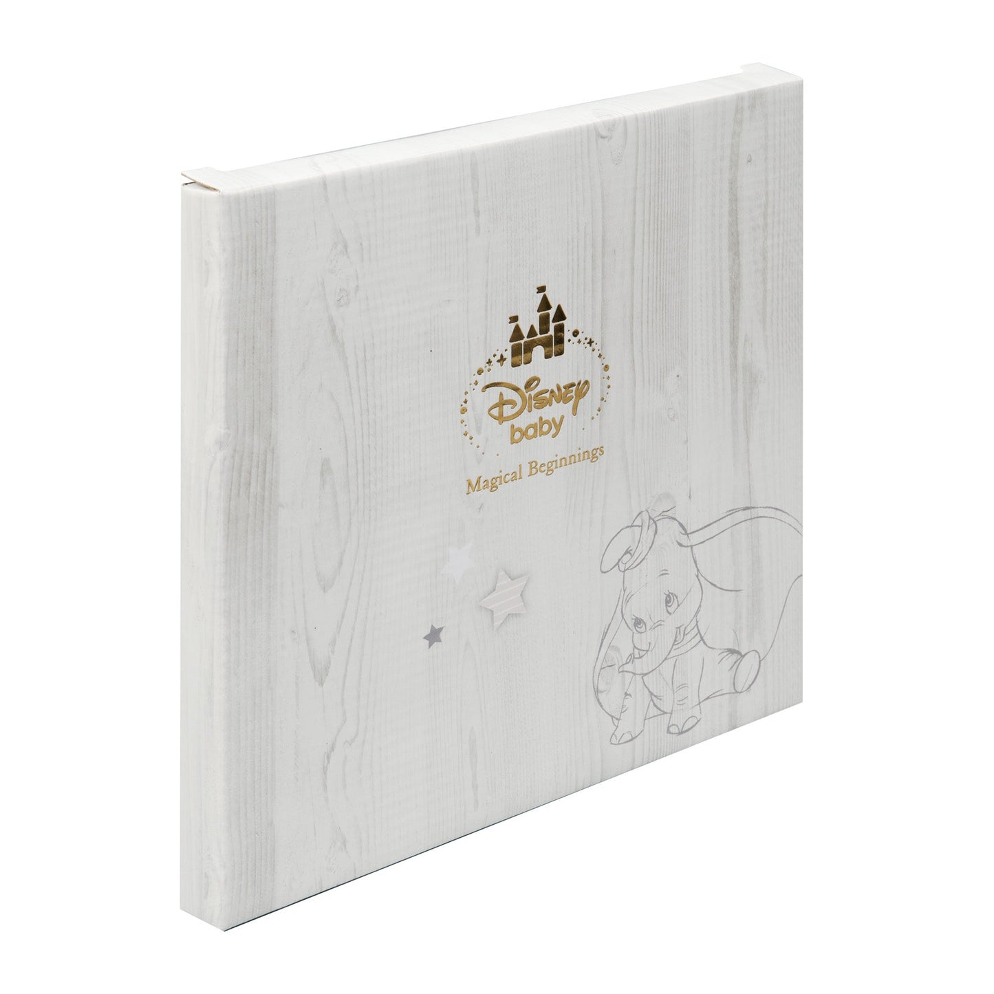Disney Magical Beginnings My First Year Photo Record Book Baby Products Wholesaler