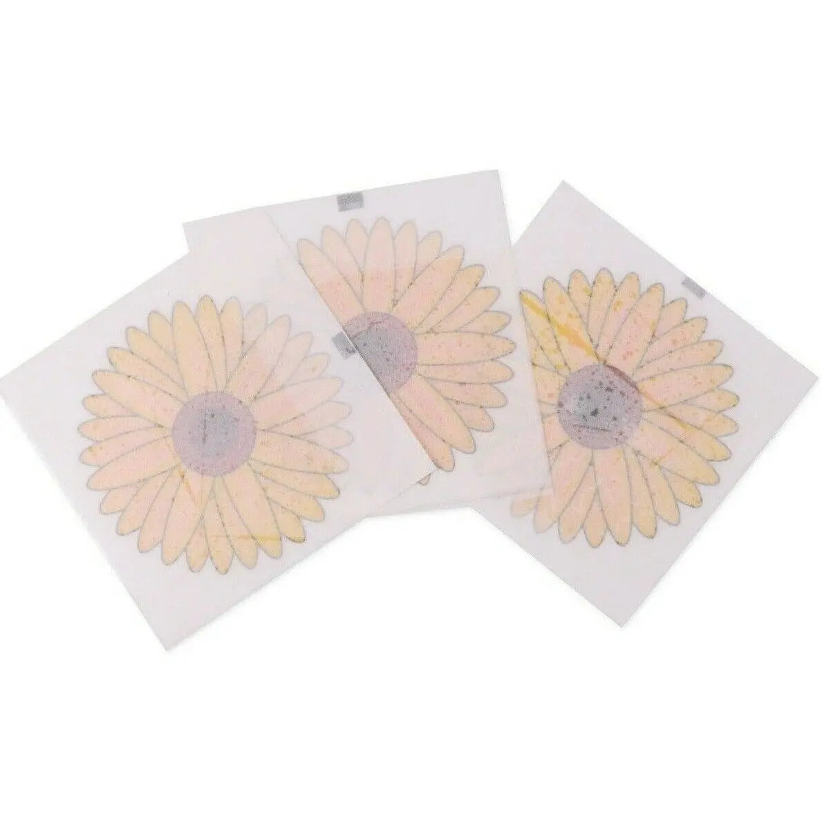 Window Sticker Fly Trap Insect Killer Paper Sticky Bug Catchers Indoor Outdoor Deal For Any Occasion