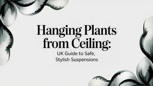 Hanging plants from ceiling: UK guide to safe, stylish suspensions