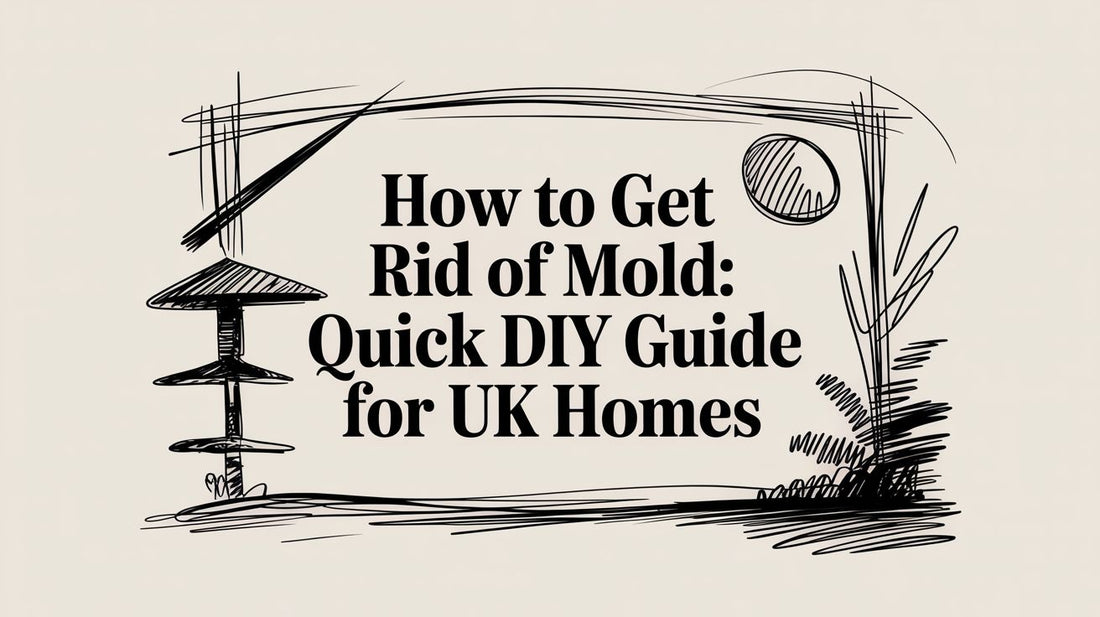 How to Get Rid of Mold: Quick DIY Guide for UK Homes