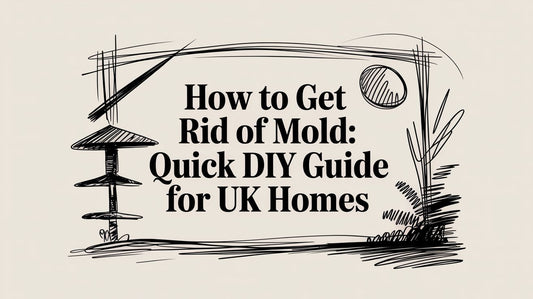 How to Get Rid of Mold: Quick DIY Guide for UK Homes