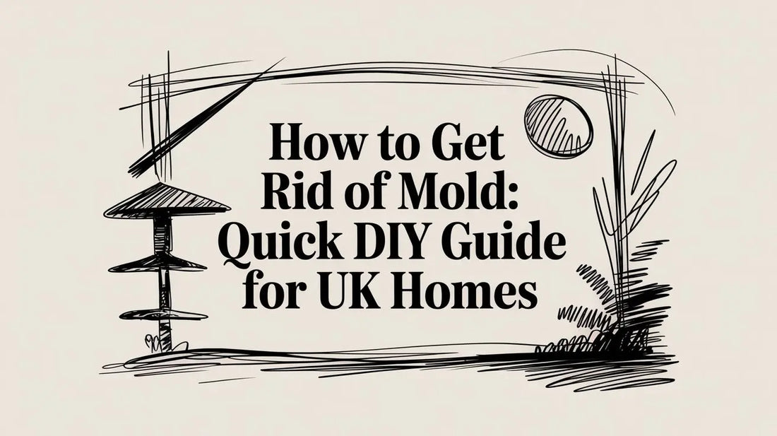 How to Get Rid of Mold: Quick DIY Guide for UK Homes Deal For Any Occasion