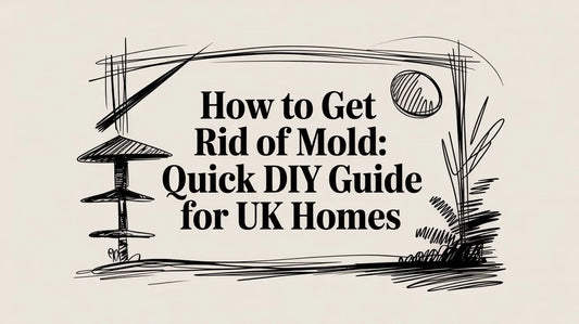 How to Get Rid of Mold: Quick DIY Guide for UK Homes Deal For Any Occasion