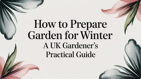 How to Prepare Garden for Winter: A UK Gardener's Practical Guide Deal For Any Occasion