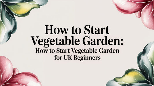 How to Start Vegetable Garden: how to start vegetable garden for UK beginners