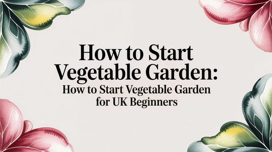 How to Start Vegetable Garden: how to start vegetable garden for UK beginners Deal For Any Occasion