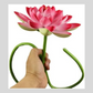 Artificial Lotus Flower 35.5 Fake Flowers Long Stem with Round Base