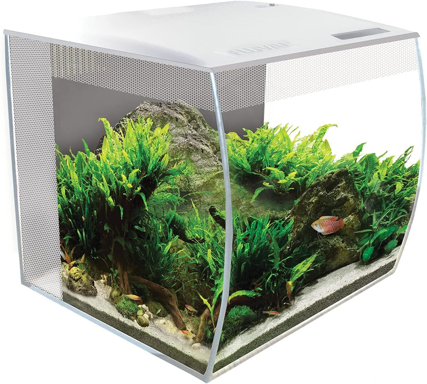 Fluval Aquarium Flex LED Nano Fish Tank White 34L Bowfront Filter