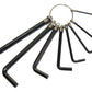 Strong Metric Imperial Hex Allen Key Set 8PC Hexagon Wrench with Keyring Holder