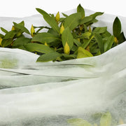 Garden Plant Frost Protection Fleece Cover Marksman White 1.5m x 8m Sheet Unbranded