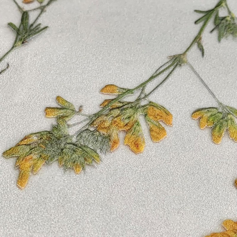 Window Privacy Film Dried Meadow Flowers Frosted Decorative Glass Covering Unbranded