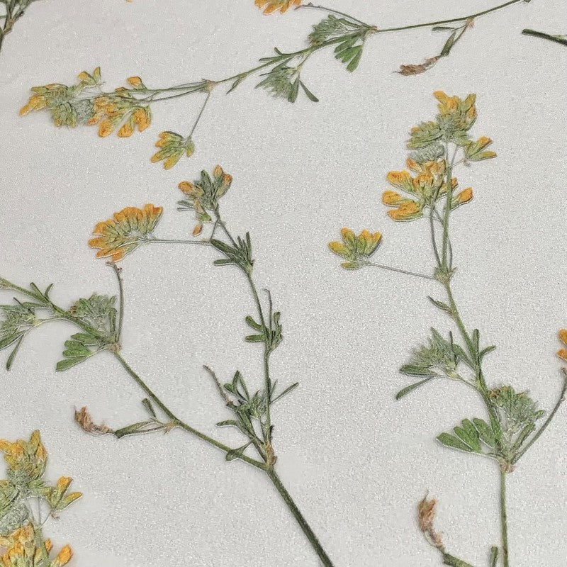 Window Privacy Film Dried Meadow Flowers Frosted Decorative Glass Covering Unbranded