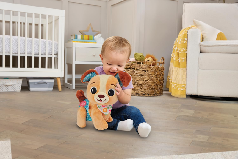 VTech Baby Puppy Walker Musical Interactive Learning Toy 9 12 18 Months VTech