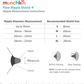 Munchkin Nipple Shield 20mm Milk Flow Breastfeeding Visibility Munchkin