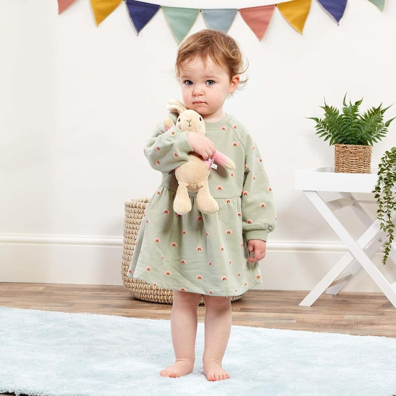 Peter Rabbit Flopsy Bunny Baby Soft Toy Plush Teddy Comforter Infant Gift Toy Peter Rabbit