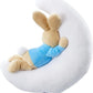 Peter Rabbit Musical Night Toy Baby Cot Plush Lullaby Soother Beatrix Potter Peter Rabbit
