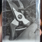 Bypass Secateurs Pruners Shears Garden Hand Tool Plant Cutter Sharped Green Unbranded
