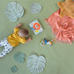 Taf Toys Savannah Tummy Time Newborn Baby Book Double Sided Sensory Mirror taf