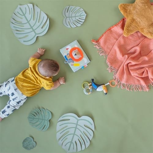 Taf Toys Savannah Tummy Time Newborn Baby Book Double Sided Sensory Mirror taf
