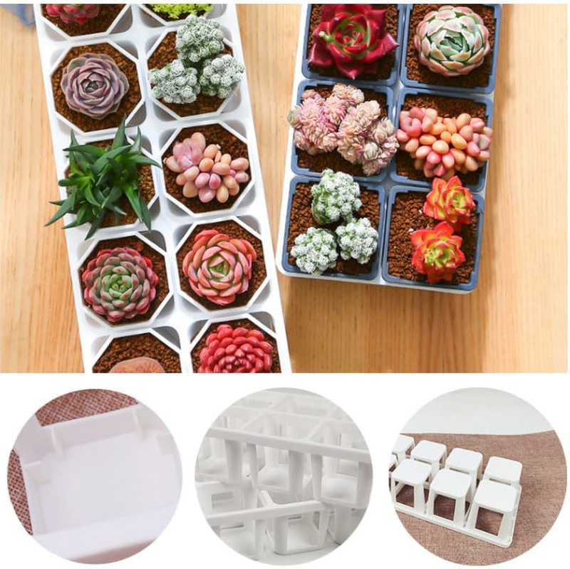 Seed Starter Tray Kit Seedling Pots Mini Greenhouse Propagator Growing Set Unbranded
