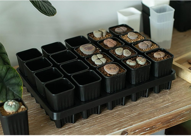 Seed Starter Tray Kit Seedling Pots Mini Greenhouse Propagator Growing Set Unbranded