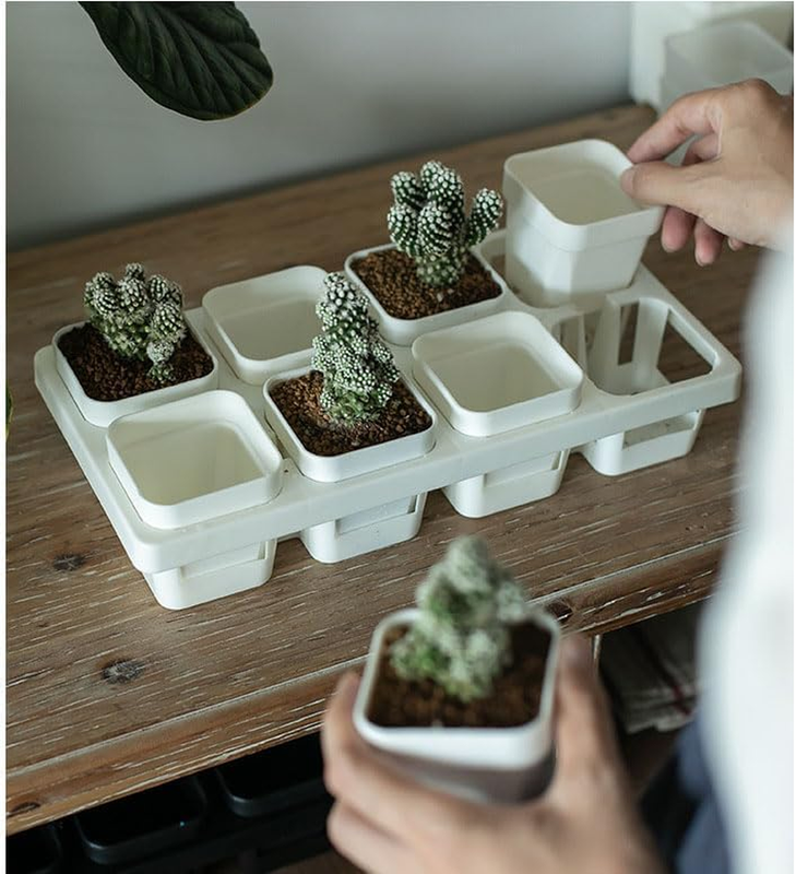 Seed Starter Tray Kit Seedling Pots Mini Greenhouse Propagator Growing Set Unbranded