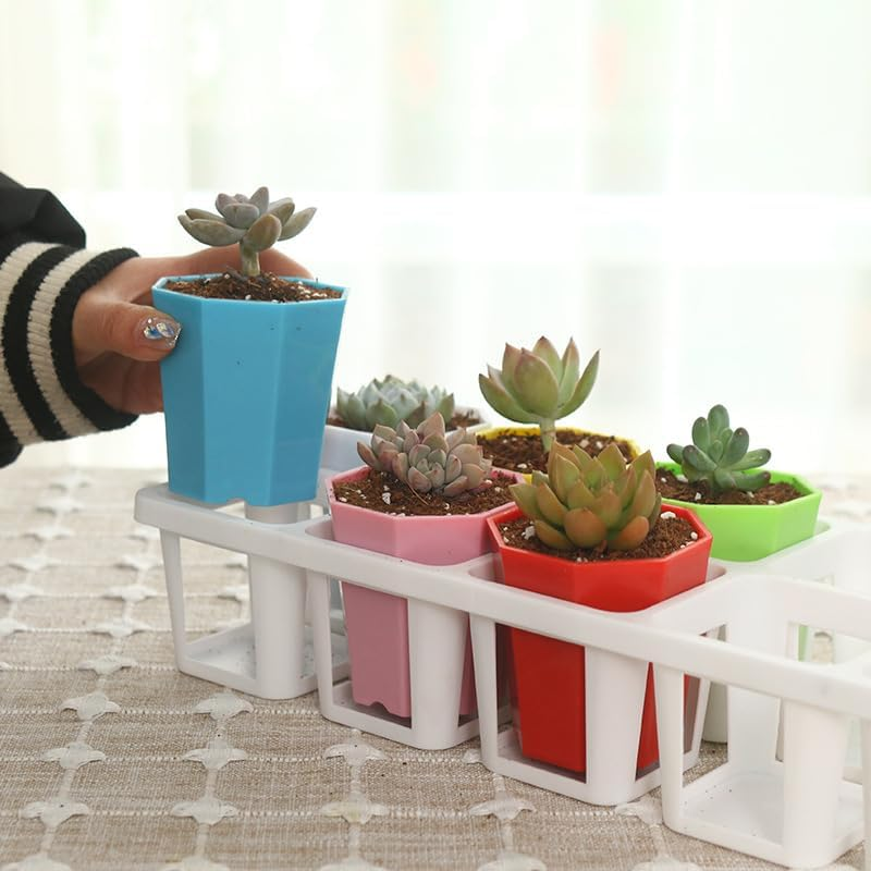 Seed Starter Tray Kit Seedling Pots Mini Greenhouse Propagator Growing Set Unbranded