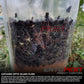 Hanging Fly Trap Killer Bag Outdoor Non Toxic Garden Farm Stable Catches 20000 Unbranded