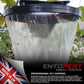 Hanging Fly Trap Killer Bag Outdoor Non Toxic Garden Farm Stable Catches 20000 Unbranded