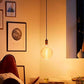 G200 Oversized LED Bulb E27 8W 450Lm 2200K Dimmable Vintage Globe Warm Light