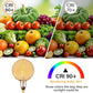 G200 Oversized LED Bulb E27 8W 450Lm 2200K Dimmable Vintage Globe Warm Light