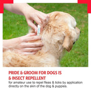 Dog Flea & Tick Treatment Spot On Drops Puppy Repellent 4 Week Protection 2 Pack