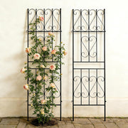 Garden Trellis 2 Pack Metal Climbing Plant Support 180x50cm Outdoor Roses Panels