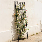 Garden Trellis 2 Pack Metal Climbing Plant Support 180x50cm Outdoor Roses Panels