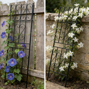 Garden Trellis 2 Pack Metal Climbing Plant Support 180x50cm Outdoor Roses Panels