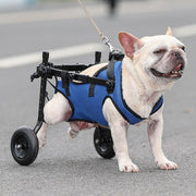 Dog Wheelchair Adjustable Rear Leg Support Mobility Cart For Injured Pets Size M