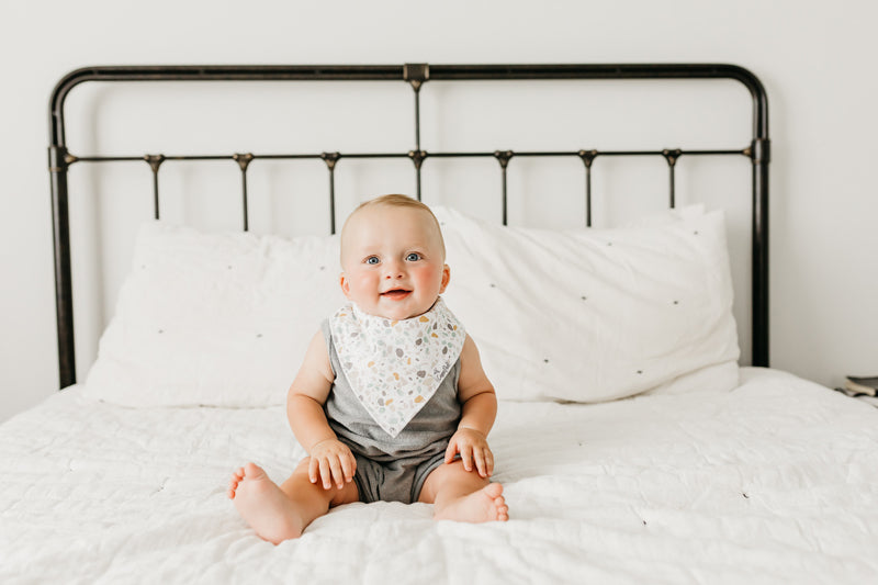Copper Pearl Bibs Rex 4Pk Baby Products Wholesaler