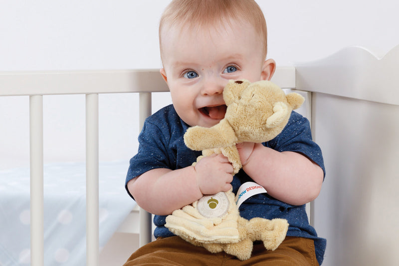 Disney Comfort Blanket Winnie The Pooh Baby Products Wholesaler