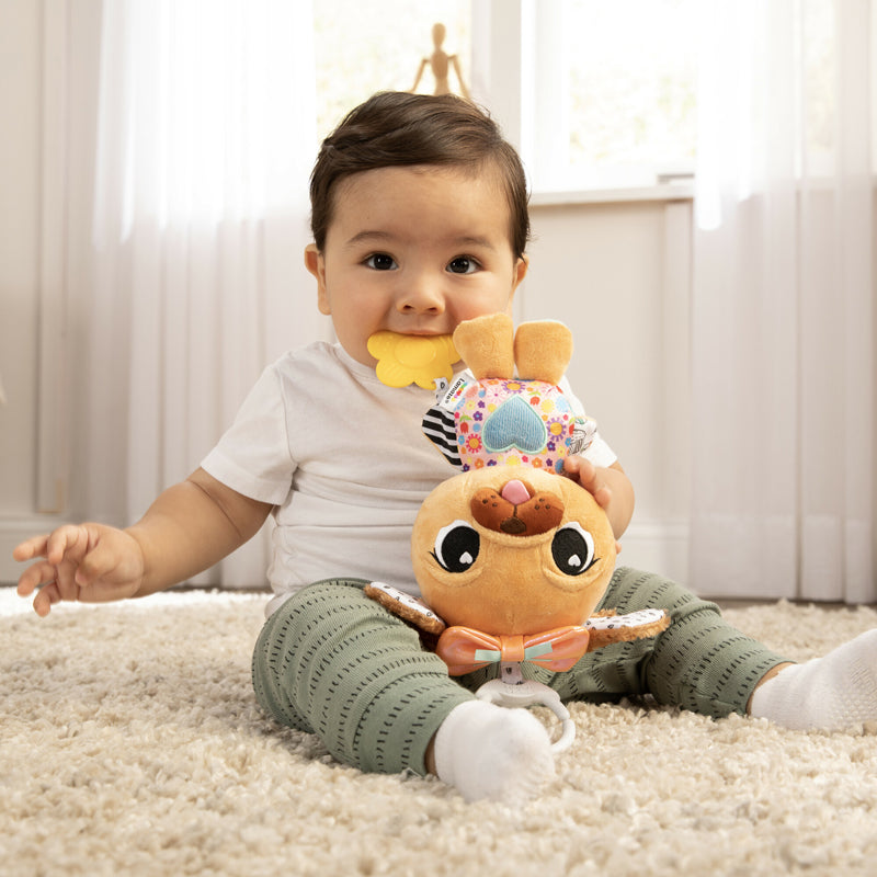 Lamaze Lovey the Pug Baby Products Wholesaler