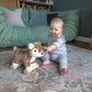 Little Bird Told Me Willow Deer Pull Along Baby Products Wholesaler