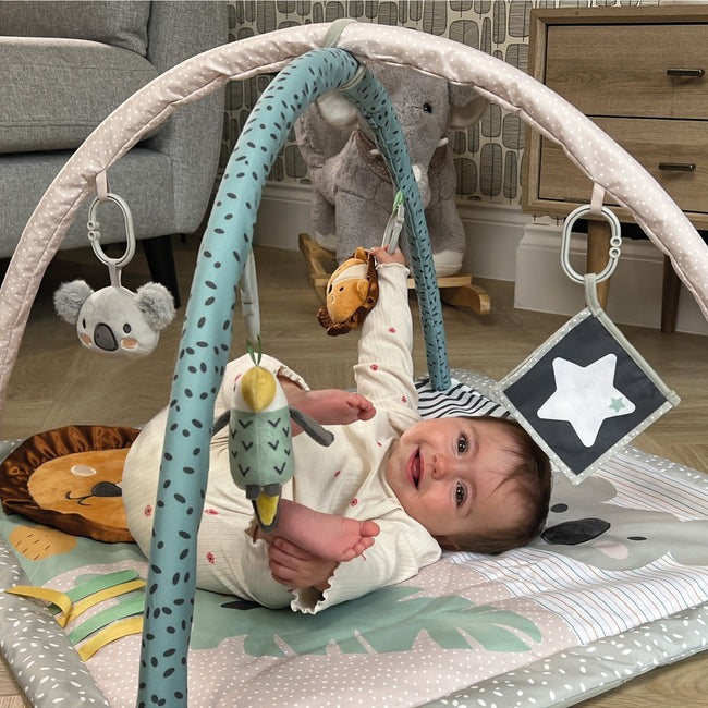 Nuby Animal Adventures Play Gym Baby Products Wholesaler
