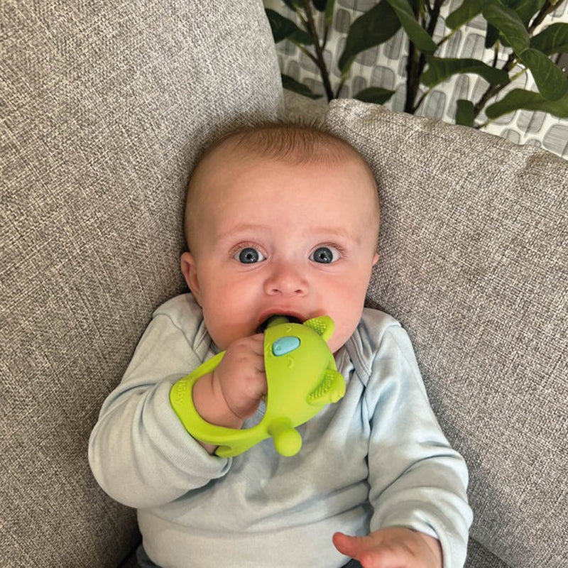 Nuby Mini Wrist Grip Teething Mitten Koala Baby Products Wholesaler