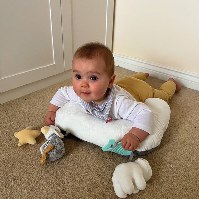 Nuby Penguin Tummy Time Pillow Baby Products Wholesaler