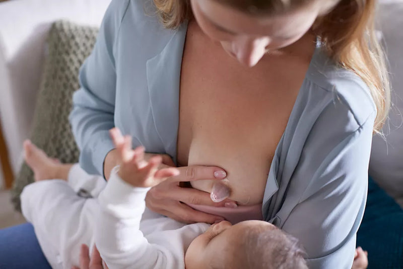 Philips Avent Nipple Shield Medium Baby Products Wholesaler