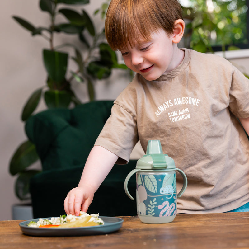 Vital Baby Nourish Perfectly Simple Plates 5Pk Baby Products Wholesaler