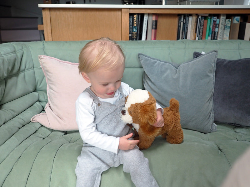 Little Bird Told Me Peanut Pull Along Baby Products Wholesaler