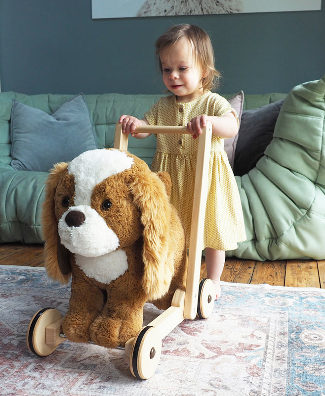 Little Bird Told Me Push Along Peanut Pup Baby Products Wholesaler