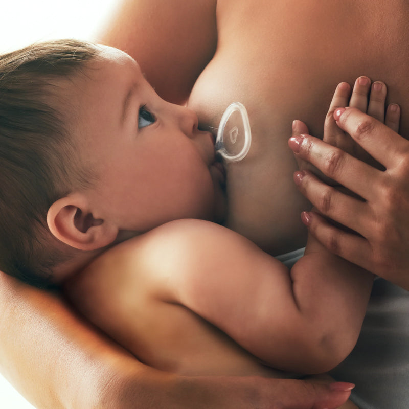 Munchkin Flow Nipple Shield 24mm + Kit Baby Products Wholesaler